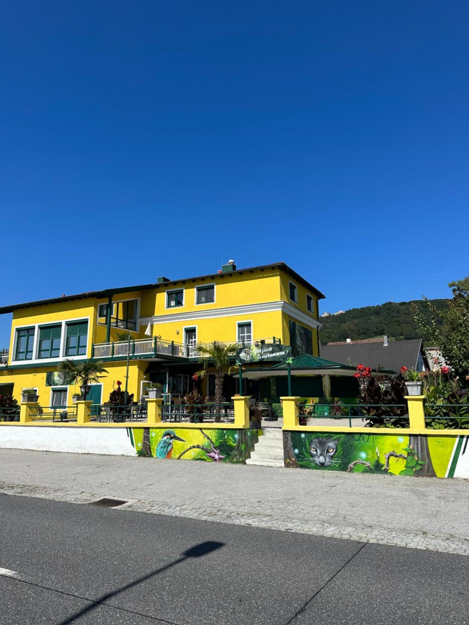 Bed and Breakfast Johnys Jungle Marbach an der Donau Esterno foto